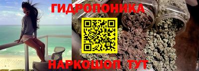 индика Балашиха