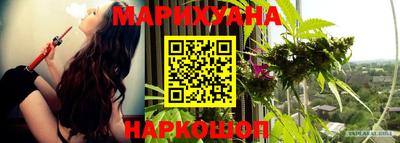 индика Балашиха