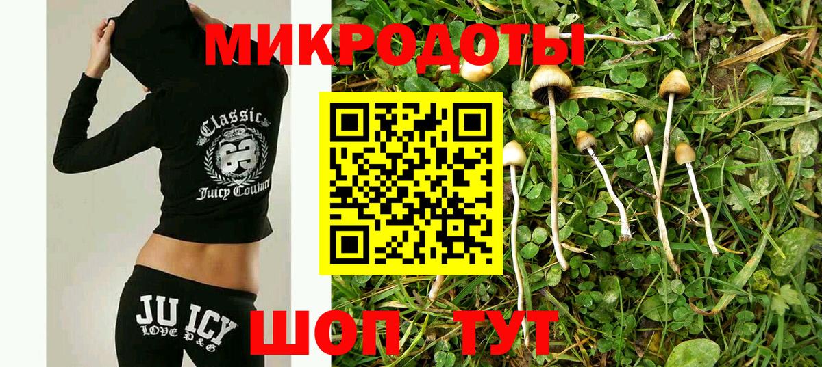 Псилоцибиновые грибы Psilocybine cubensis Добрянка
